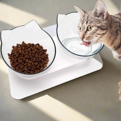 Gamelle Chat - CatDoubleBowl™ - Transparent - Velo Leader