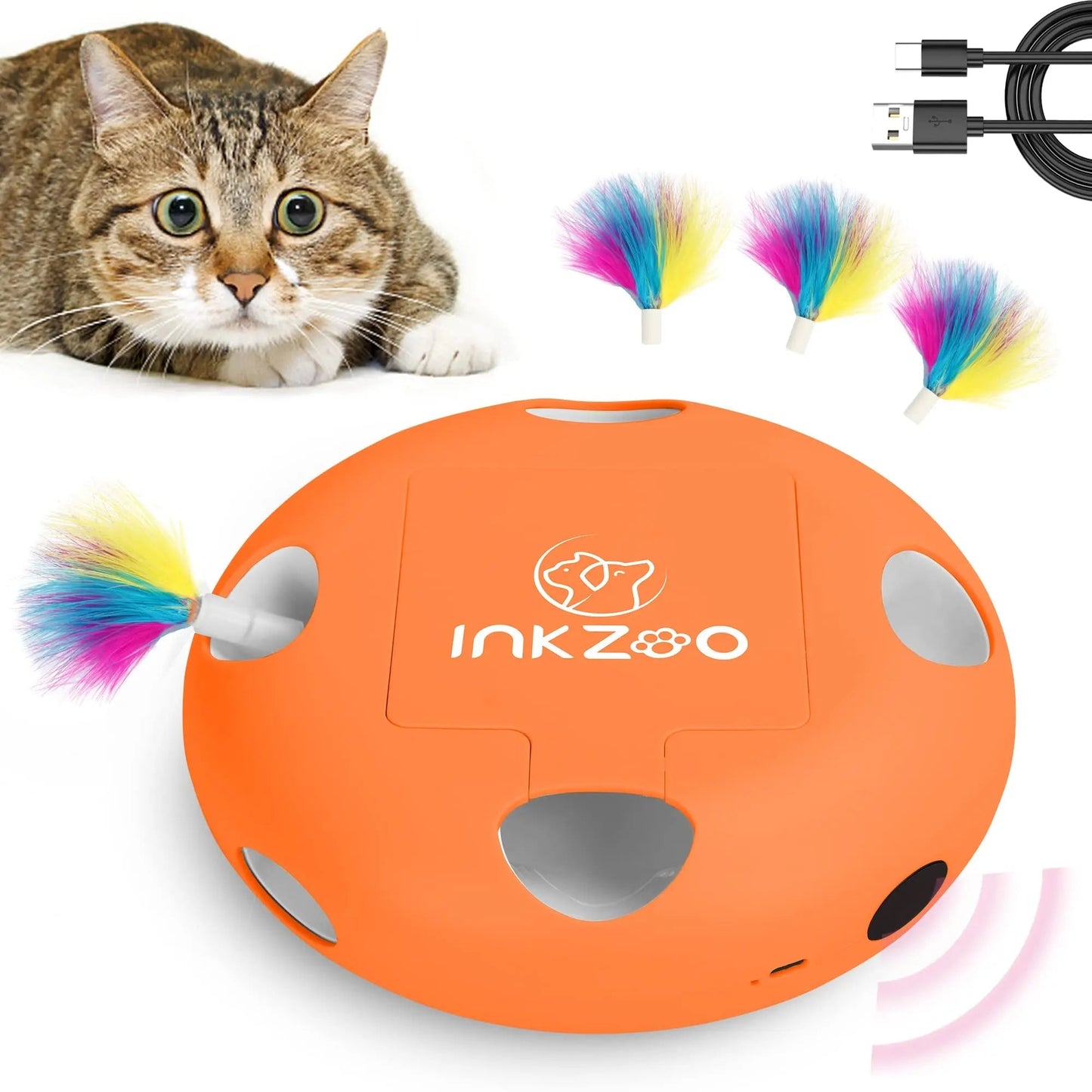 Jeux Chat - PlumeMagique™ - Orange - Velo Leader