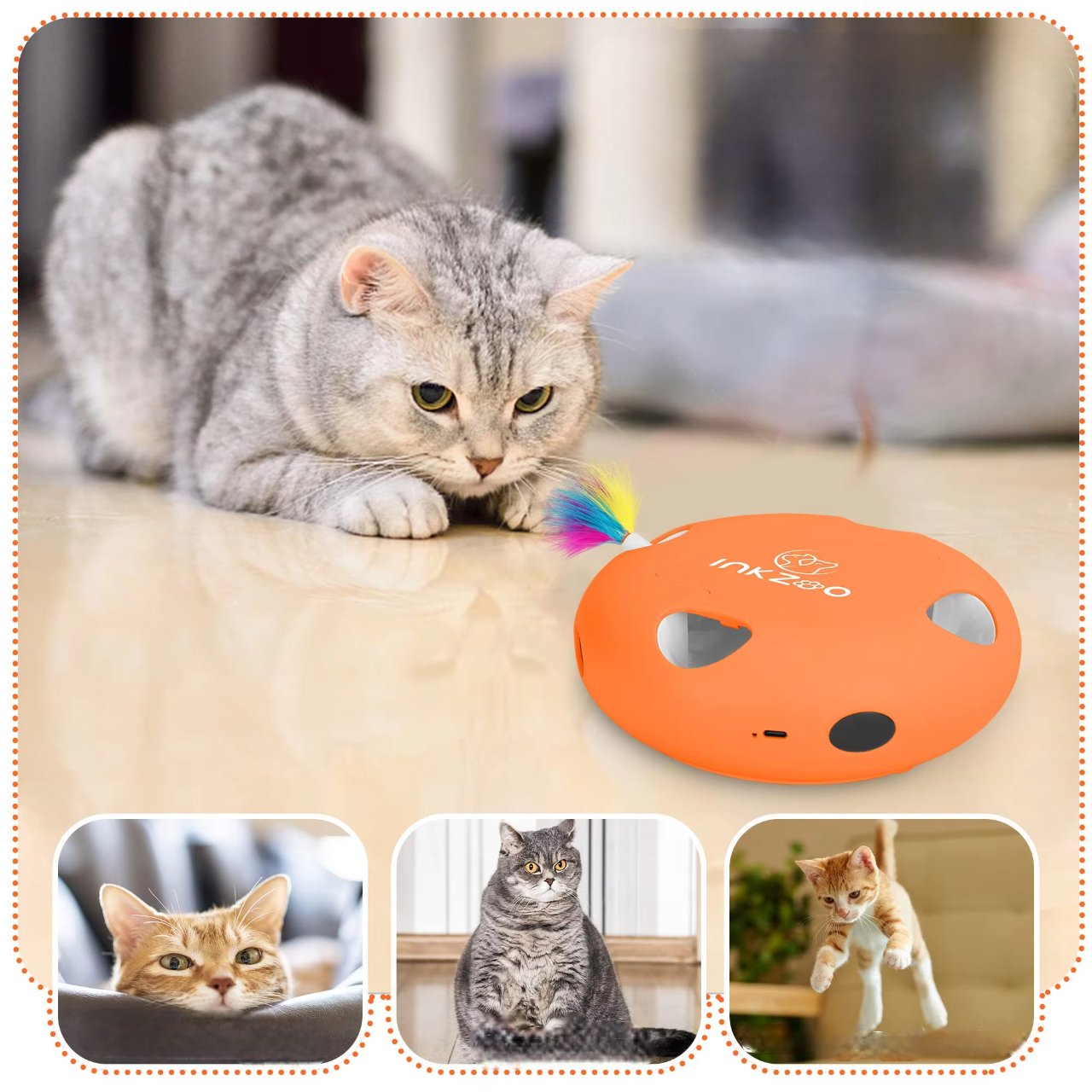 Jeux Chat - PlumeMagique™ - Orange - Velo Leader