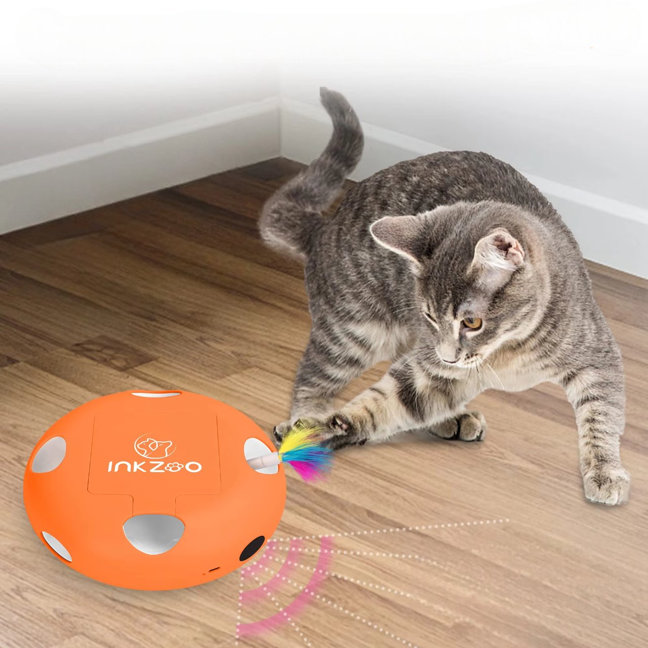 Jeux Chat - PlumeMagique™ - Orange - Velo Leader