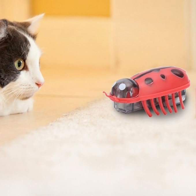 Jouet pour Chat - MiniInsecteToy™ - Coccinelles - Velo Leader