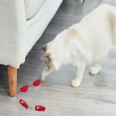 Jouet pour Chat - MiniInsecteToy™ - Scarabée Rouge - Velo Leader