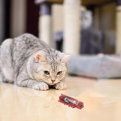 Jouet pour Chat - MiniInsecteToy™ - Scarabée Rouge - Velo Leader